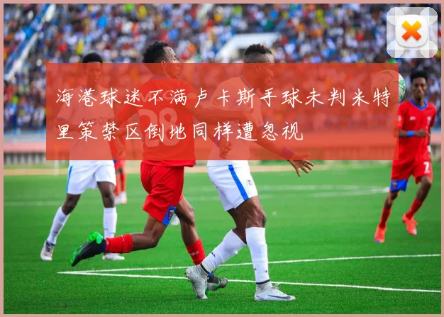 海港球迷不满卢卡斯手球未判米特里策禁区倒地同样遭忽视
